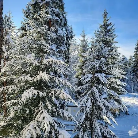Exquisite Euphoria For 4 Guests In Daire Borovets