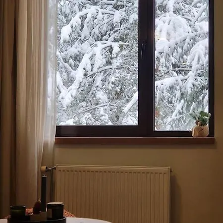 Exquisite Euphoria For 4 Guests In Daire Borovets