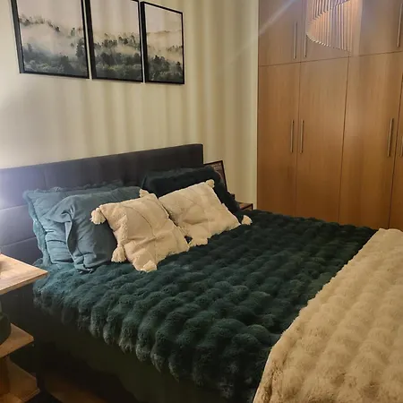 Exquisite Euphoria For 4 Guests In Apartman Borovec