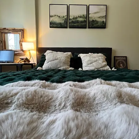 Exquisite Euphoria For 4 Guests In Borovec