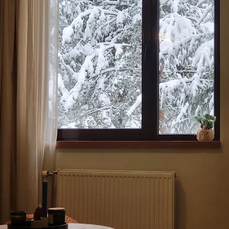 Exquisite Euphoria For 4 Guests In * Borovets