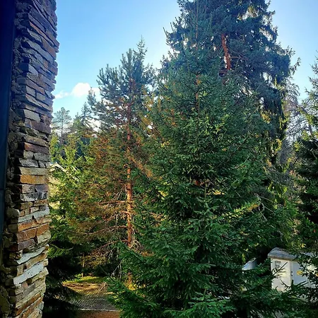 Exquisite Euphoria For 4 Guests In * Borovec