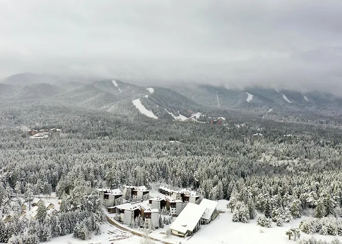 Exquisite Euphoria For 4 Guests In Appartement