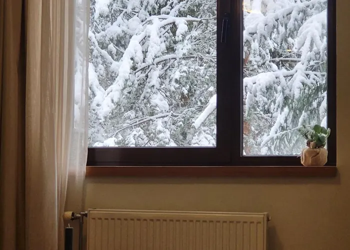 Exquisite Euphoria For 4 Guests In * Borowec